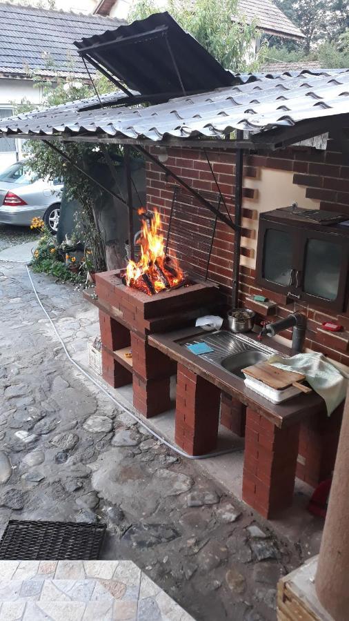 Casa Delia Hotel Călimăneşti Bagian luar foto