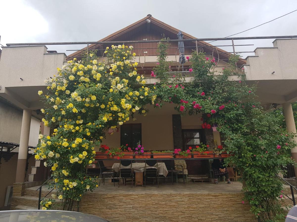 Casa Delia Hotel Călimăneşti Bagian luar foto